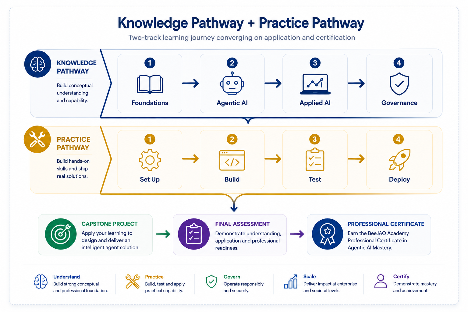 AAIM101 Knowledge Pathway and Practice Pathway roadmap